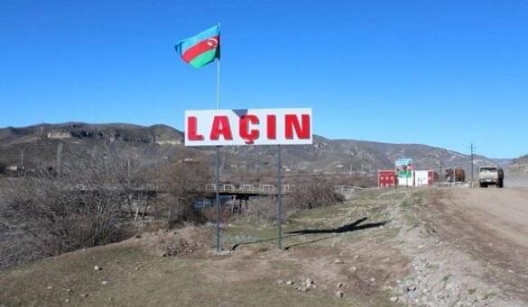 image-lacin-yeni